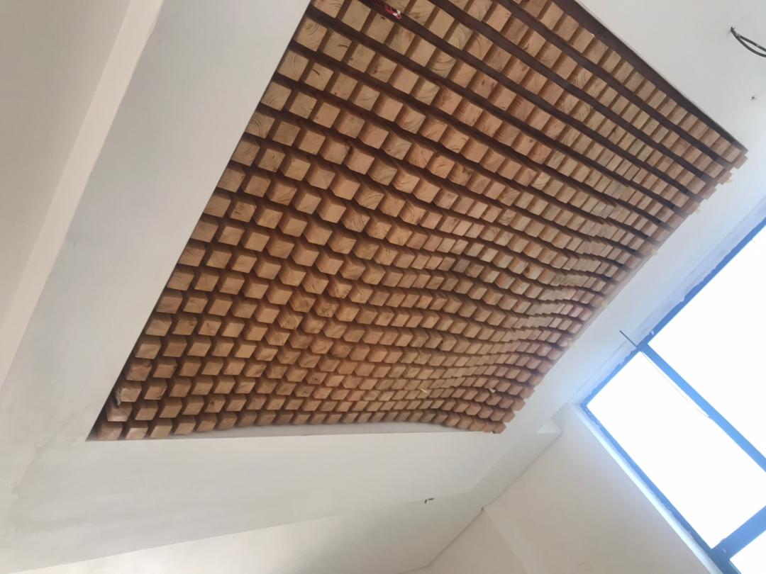 ceiling solution 2