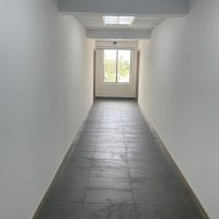 painted internal partition walls